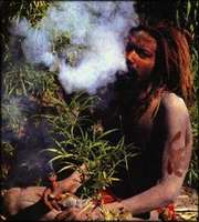 Rastafarián mezi rostlinami konopí