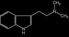 DMT