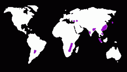 mapka